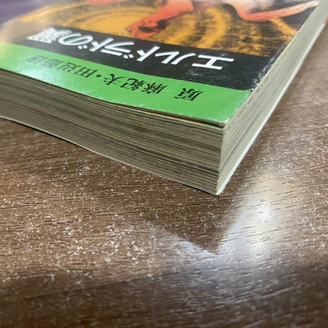 2505103071001