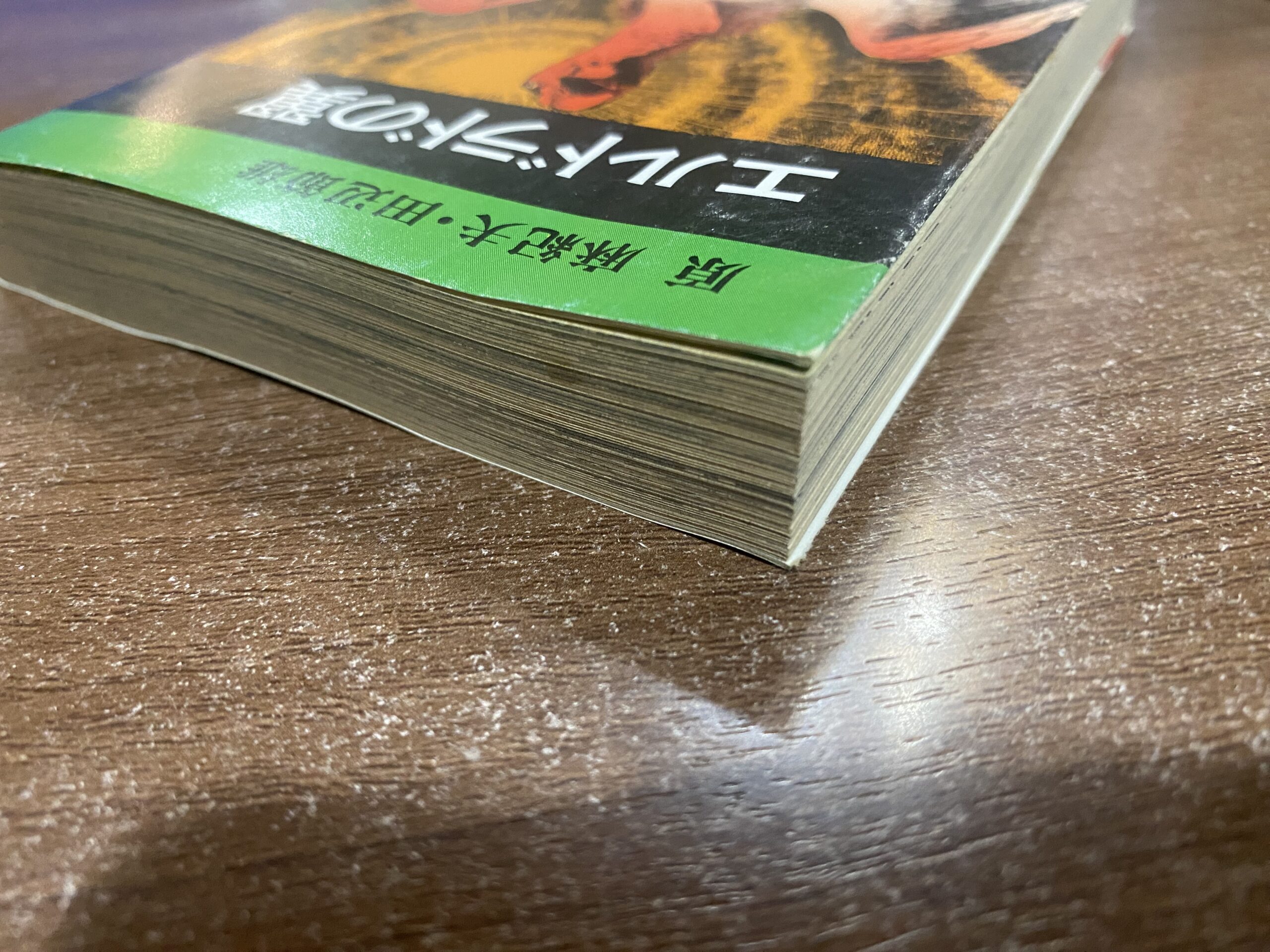 2505103071001