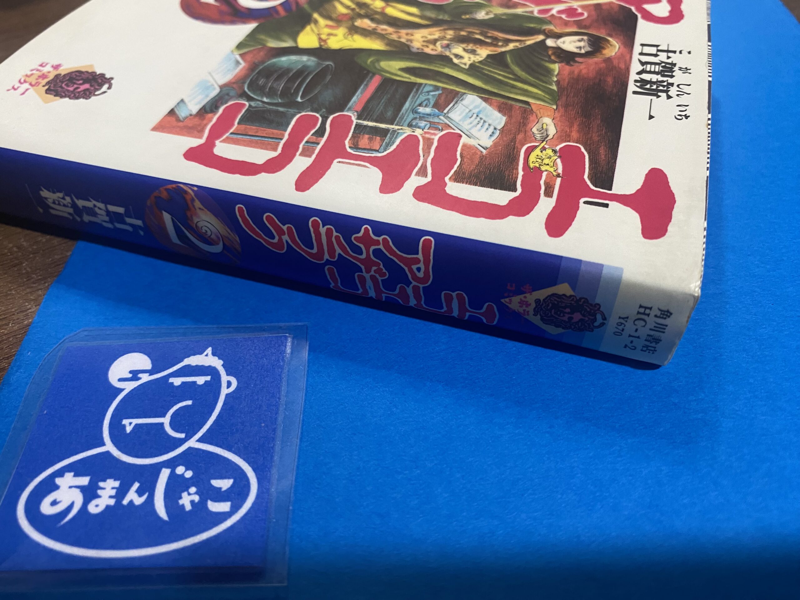 2505103071003