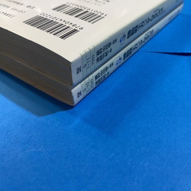 2505113071001