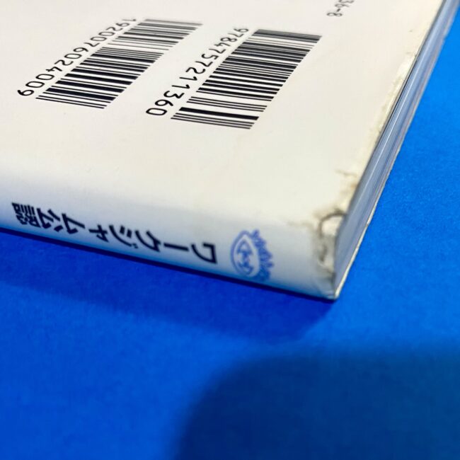 2505293071004