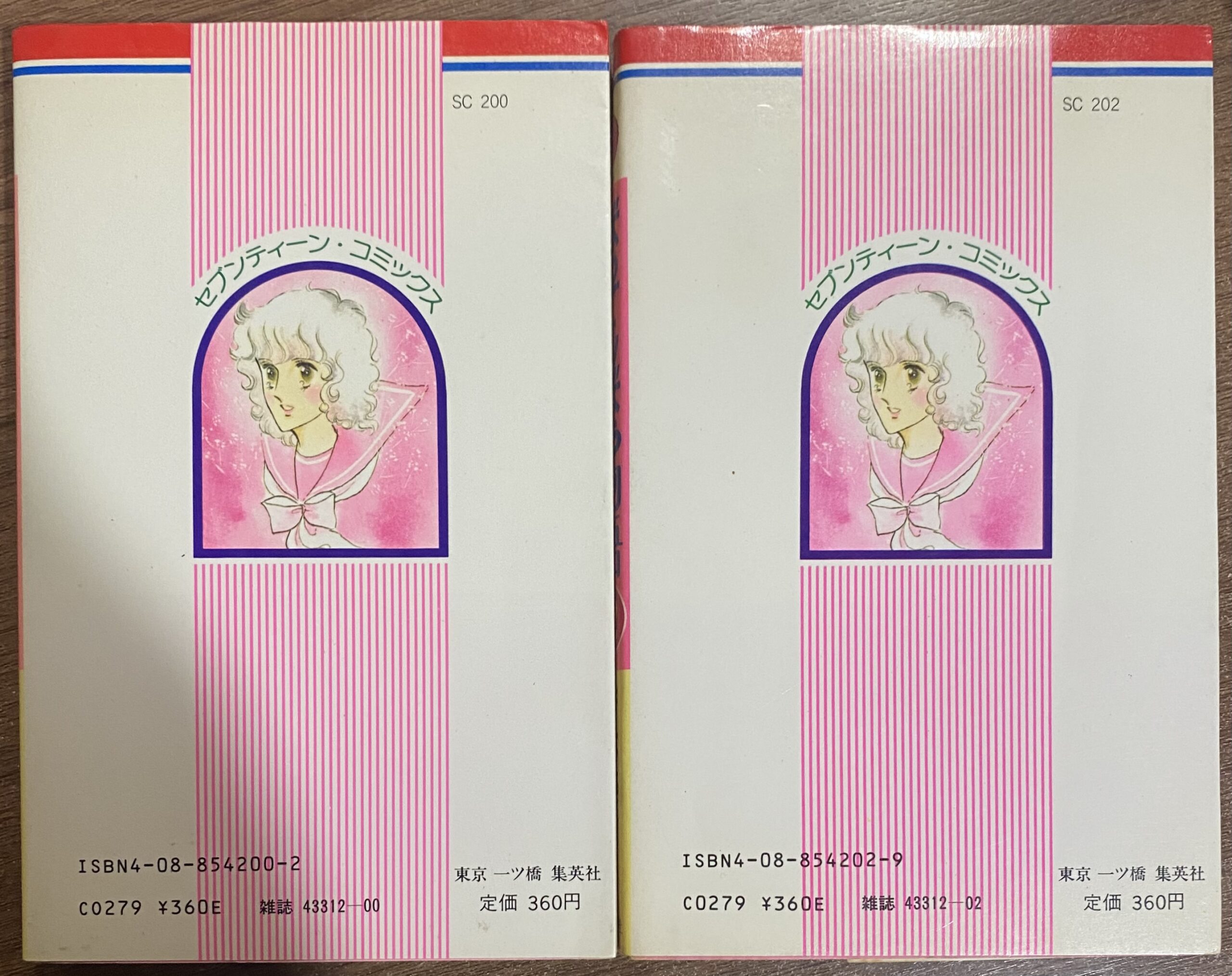 2506183071001