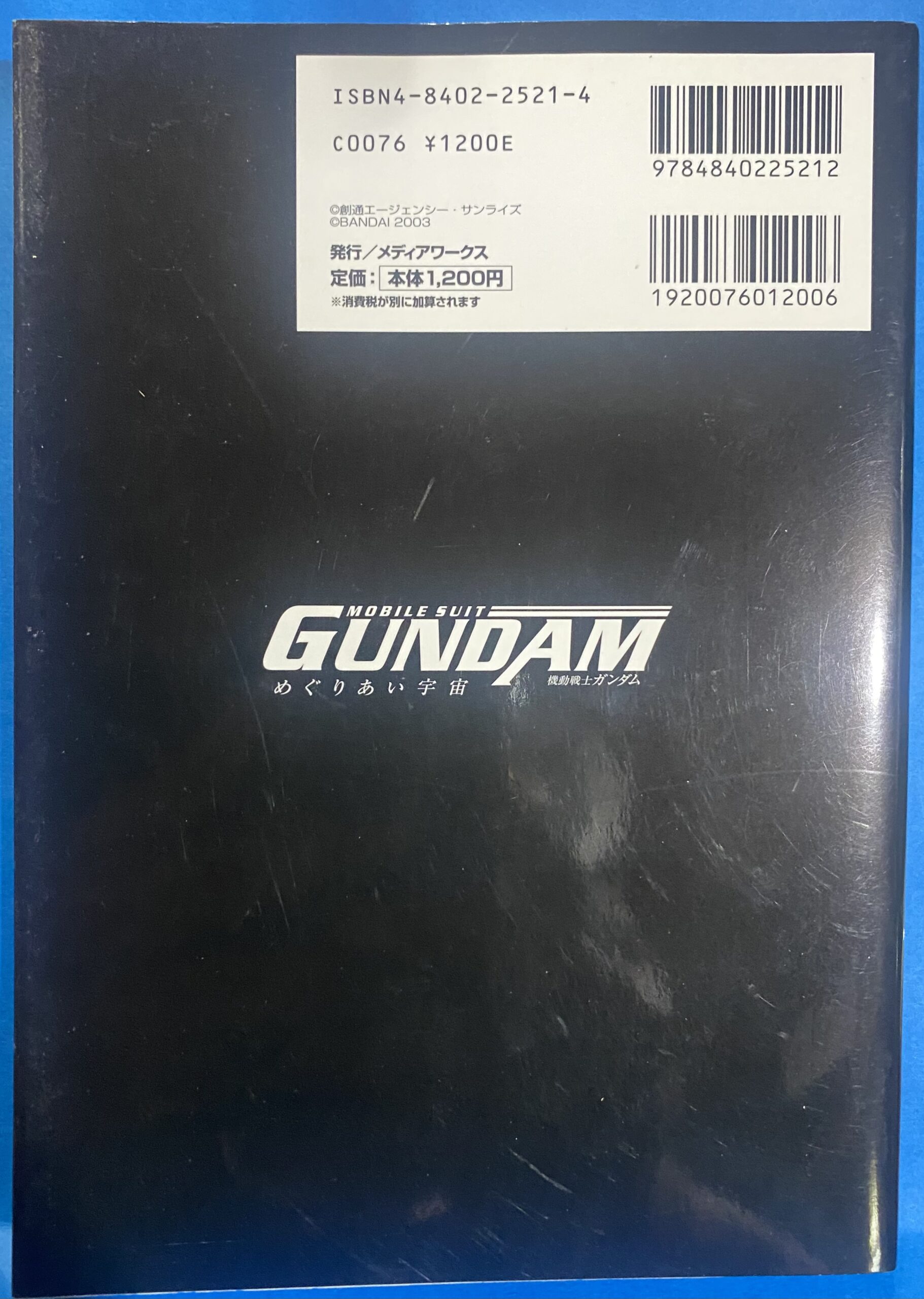 2507013071203